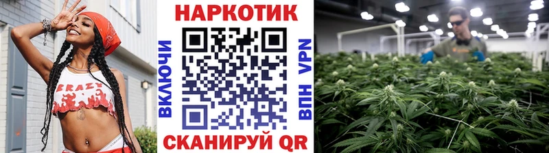 Купить закладку Амфетамин  Псилоцибиновые грибы  МЕФ  COCAIN  Кодеин  СОЛЬ  Нариманов