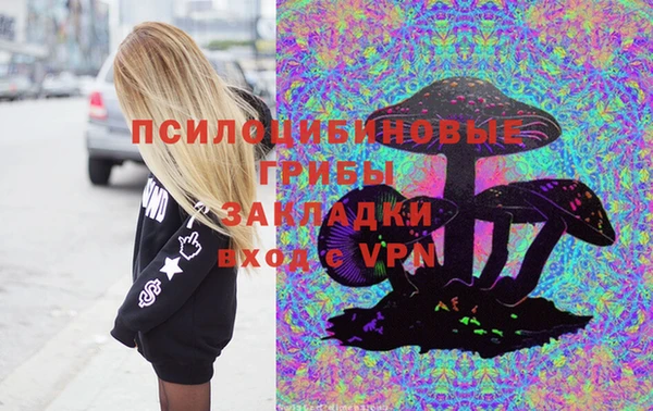 2c-b Верея