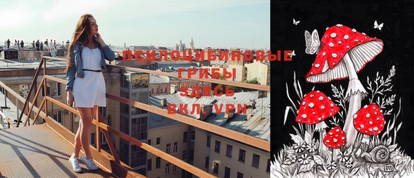 2c-b Верея