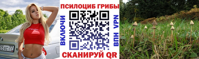 Псилоцибиновые грибы GOLDEN TEACHER  Купить  Нариманов 